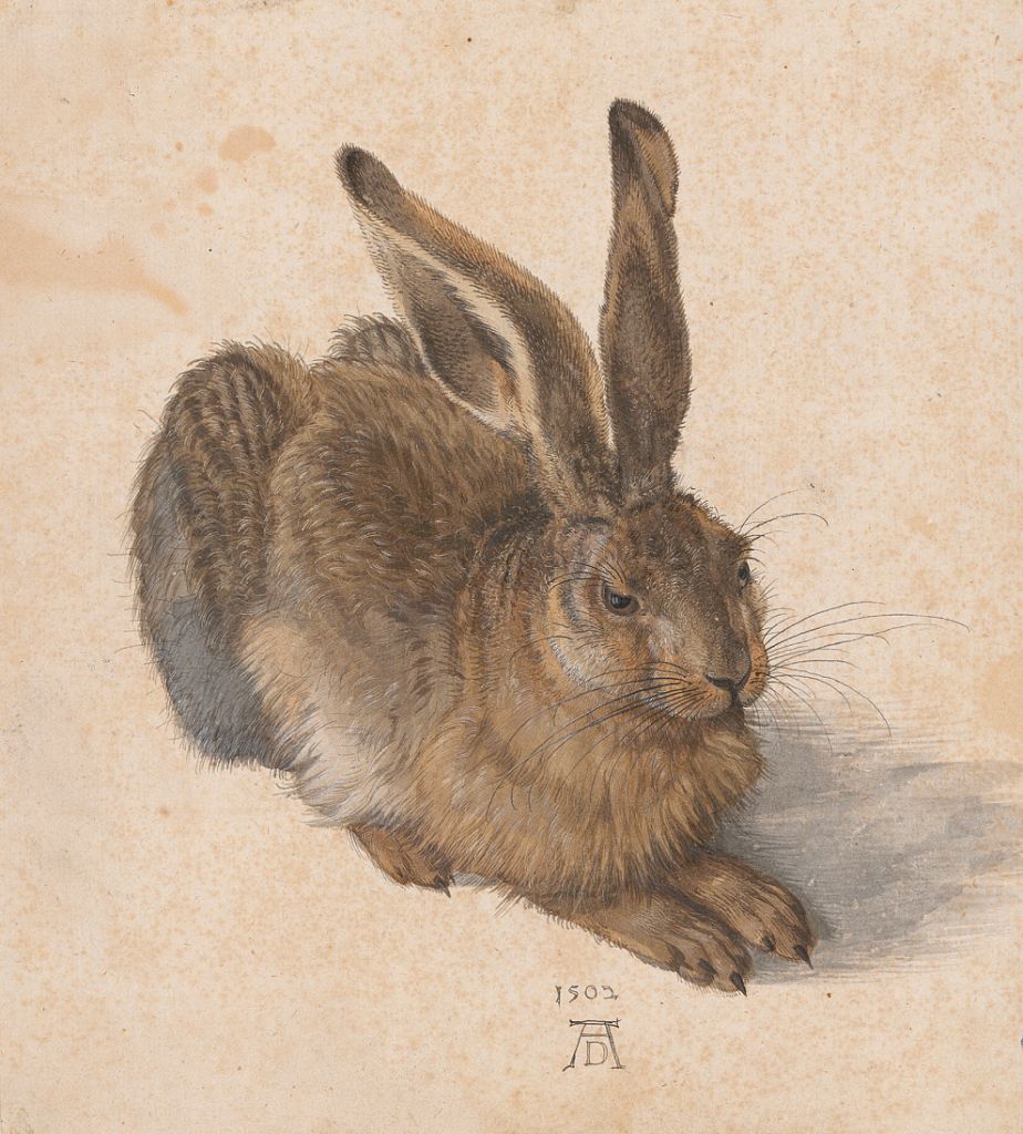 (c): Albertina Wien