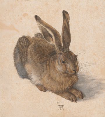 (c): Albertina Wien